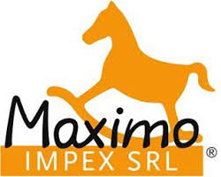 Maximo Srl.